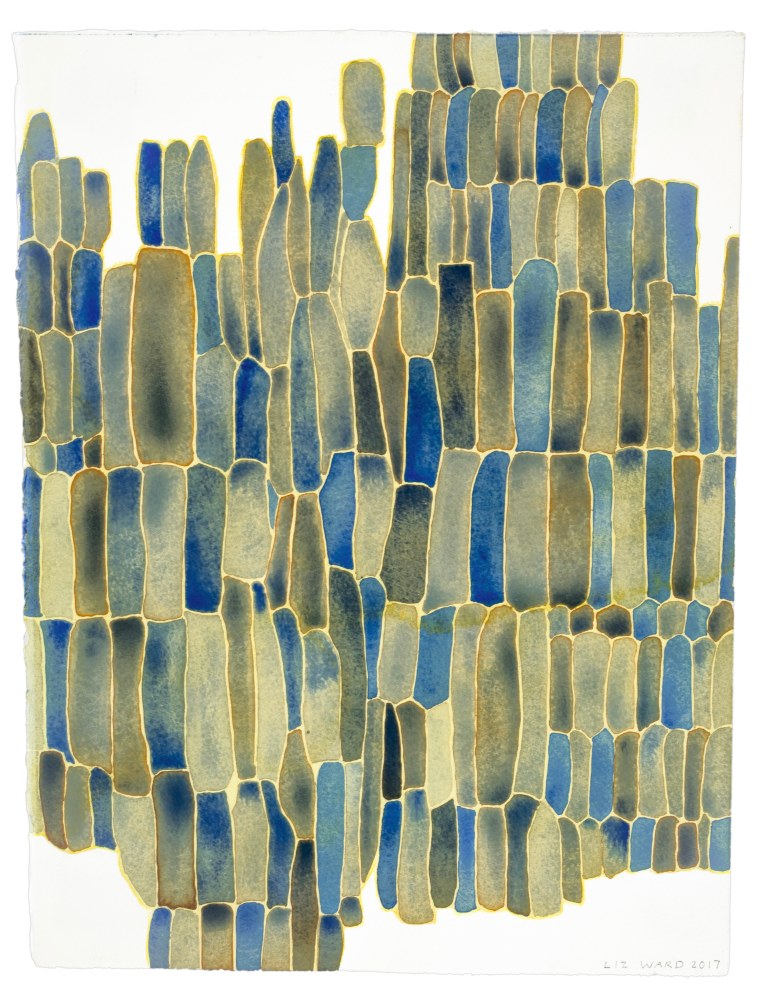 Liz Ward Cell Assembly, 2017 watercolor on paper 15" x 11 1/4" LW 340, Moody Gallery