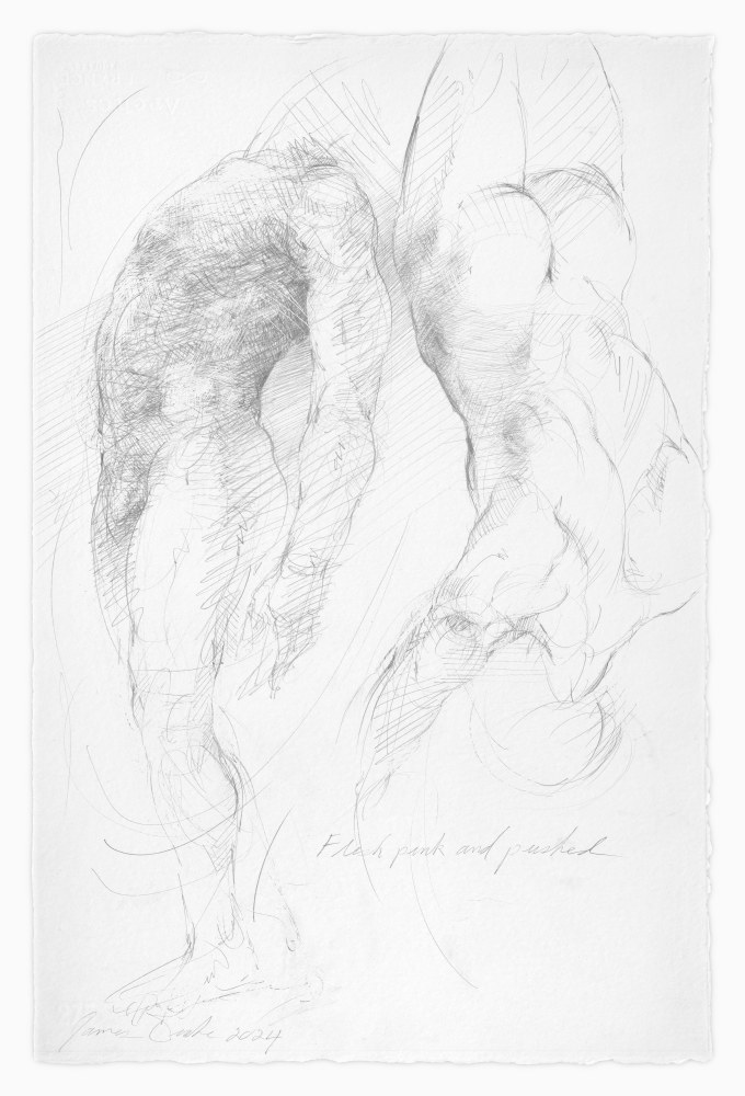 James Drake Flesh Pink and Pushed, 2024 silverpoint on gessoed paper 22 3/4" x 15" JD 347, Moody Gallery