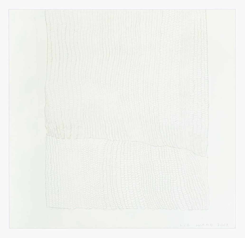 Liz Ward Small Fall, 2002 silverpoint on tinted gesso on paper 10 1/8" x 10 1/2" LW 339 $2,000