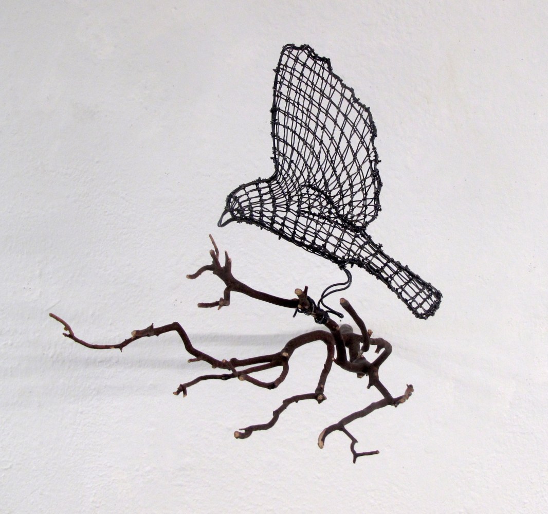 Helen Altman Landing Sparrow (facing left), 2022 wire and Manzanita branch 11" x 10" x 14" HA 826 Moody Gallery