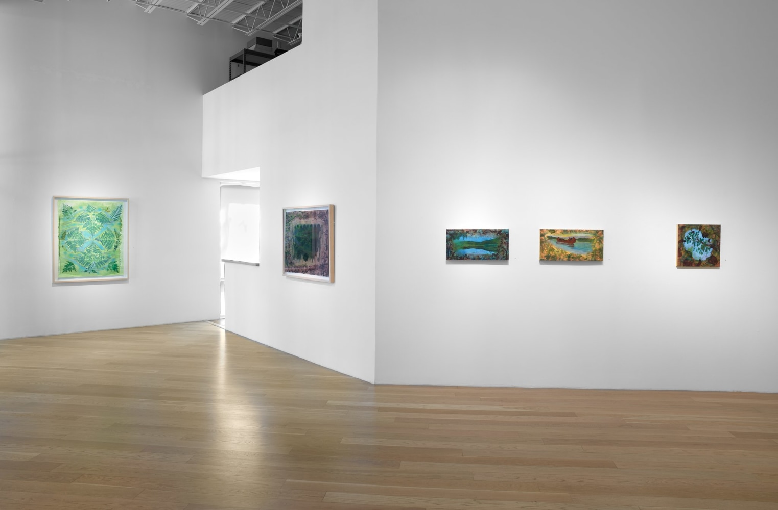 Liz Ward Earth's Eye, Installation View Moody Gallery May 10 - June 21, 2025