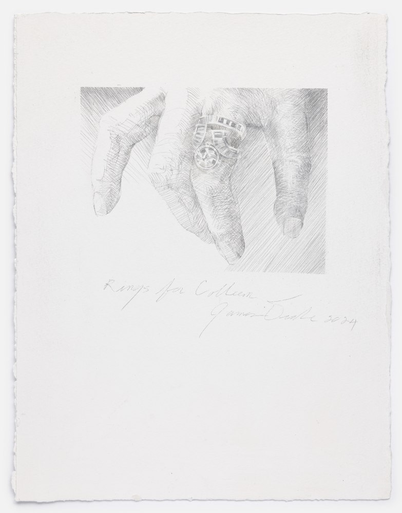 James Drake Rings for Colleen, 2024 silverpoint on gessoed paper 15" x 11 1/2" JD 352, Moody Gallery