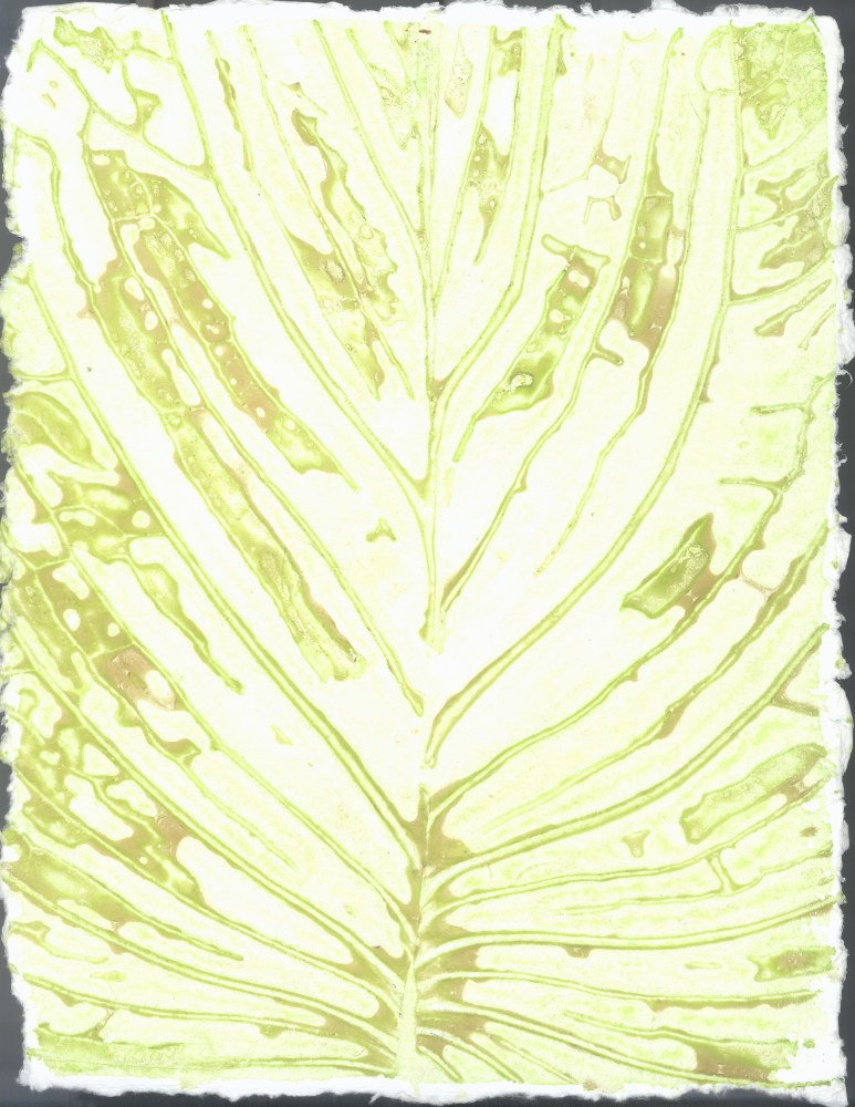 Liz Ward Specimen Days, 15, 2020 watercolor on paper 12 1/4" x 9” LW 285 Moody Gallery