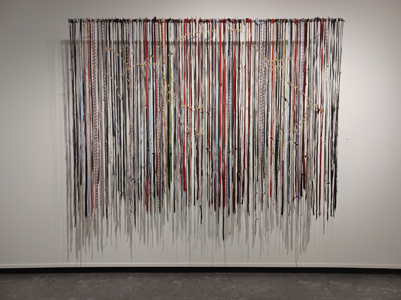 Sherry Tseng Hill in their footsteps, 2023 shoelaces dipped in the Rio Grand River, enamel paint 78" x 94" STH 52 Moody Gallery