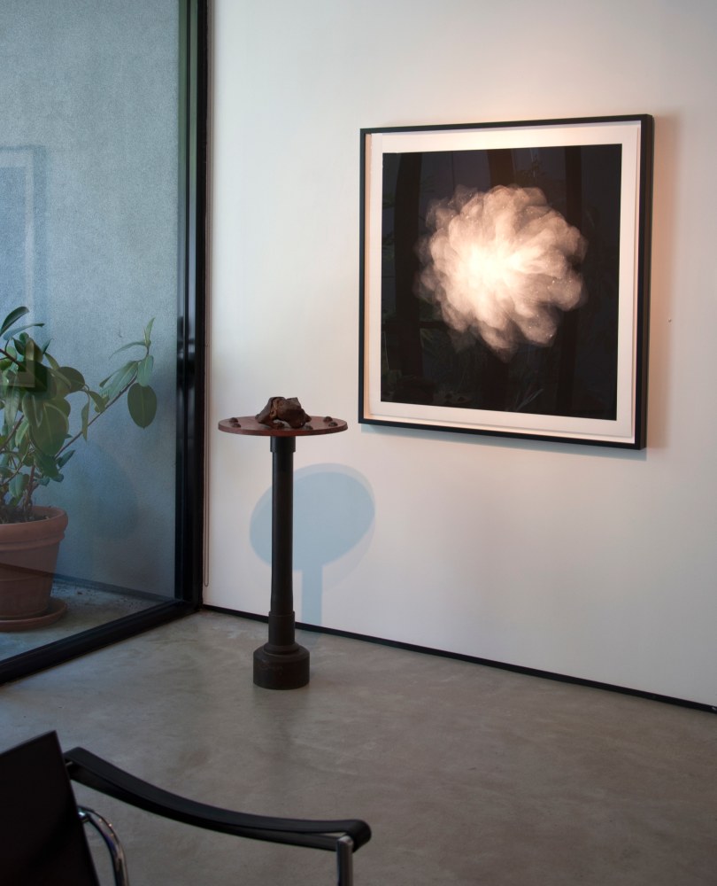 Group Exhibition of Gallery Artists
Installation View
Moody Gallery
February 25 - April 1, 2017