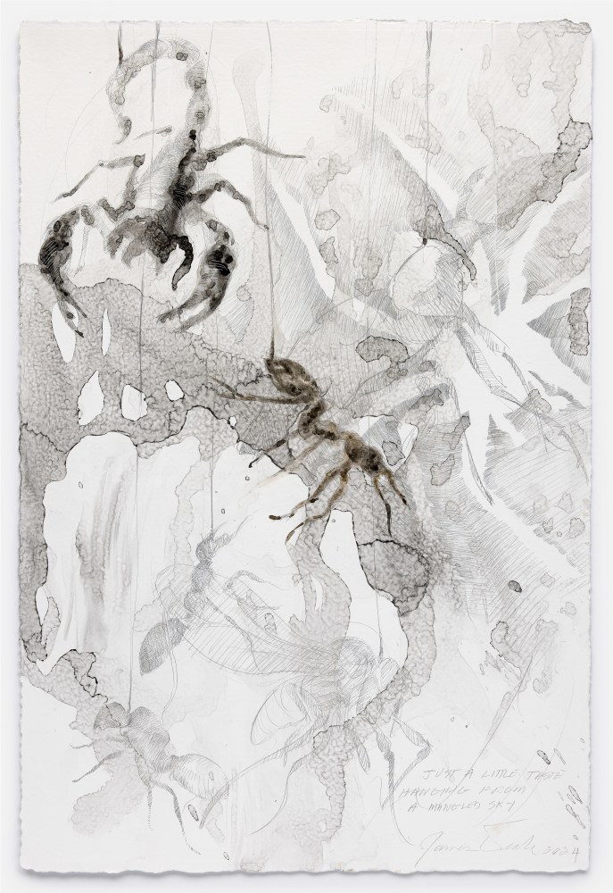 James Drake Hanging from a Mangled Sky, 2024 silverpoint, ink on gessoed paper 22 3/4" x 15 1/4" JD 382, Moody Gallery