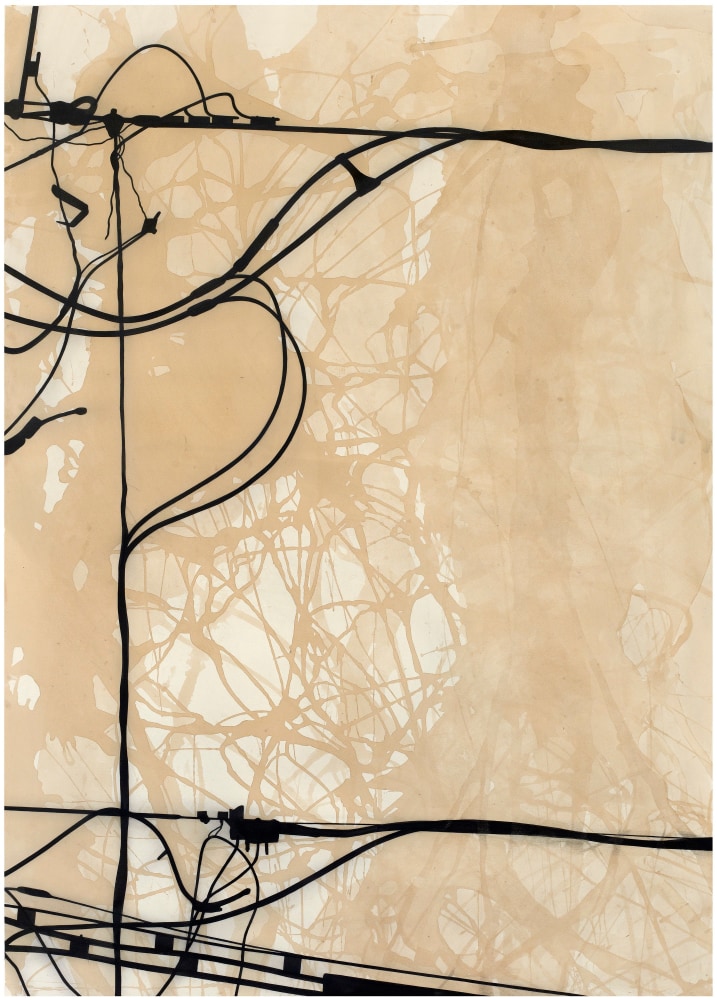 Randy Twaddle Through Thicket and Thin, 2011 ink and coffee on paper 60 1/2" x 43 1/2" RT 237 Moody Gallery