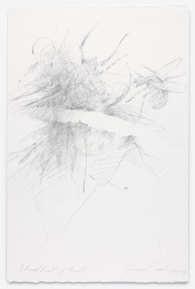 James Drake A Head Full of Hell, 2024 silverpoint on gessoed paper 22 3/4" x 15" JD 360, Moody Gallery