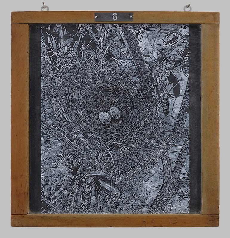 Helen Altman Nest 6, 2019 acrylic on slate chalkboard, lead 14" x 13 1/4" x 5/8" HA 753, Moody Gallery