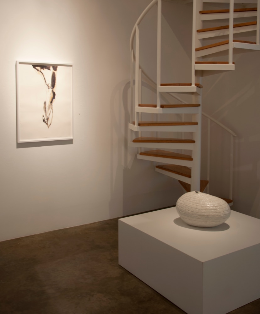 Group Exhibition of Gallery Artists
Installation View
Moody Gallery
February 25 - April 1, 2017