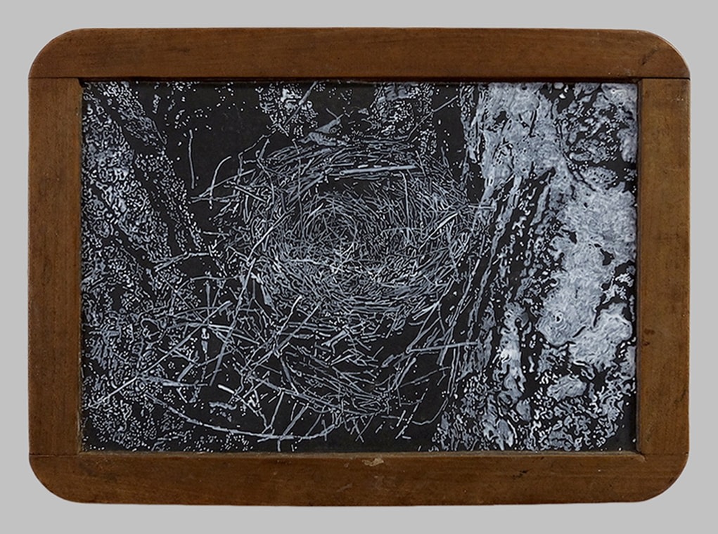 Helen Altman Nest 5, 2019 acrylic on slate chalkboard 7 3/4" x 10 3/4" x 3/8" HA 752 Moody Gallery