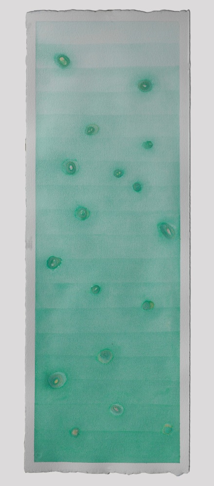 Liz Ward Kilimanjaro, 2009 watercolor on paper 42" x 13 3/4" LW 297 Moody Gallery