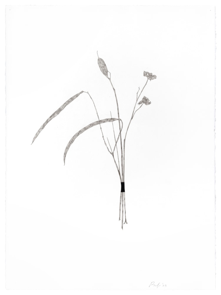 Randy Twaddle Bouquet #1, 2023 ink on paper 30" x 22 1/4" RT 468