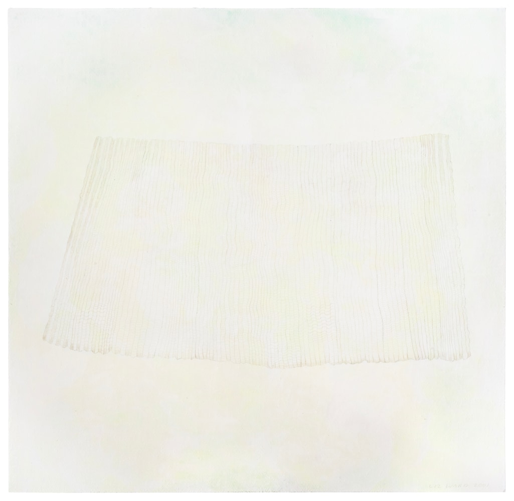 Liz Ward Falls, 2001 silverpoint on tinted gesso on paper 20 1/2" x 21" LW 338, Moody Gallery