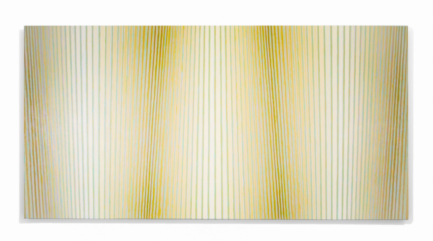 Jay Shinn Cellulose Tapestry 2, 2023 acrylic on canvas 36" x 72" x 2 1/2" JS 52 Moody Gallery