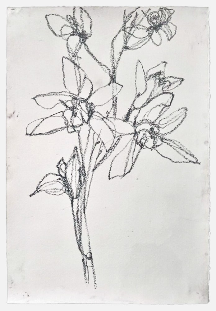 Andrea Rosenberg Untitled, 2022 mixed media on paper 44" x 30", Moody Gallery