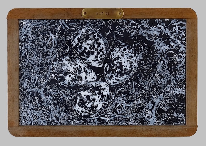 Helen Altman Nest 48 2020 acrylic on vintage slate chalkboard 8 1/2" x 12 1/2" HA 778 Moody Gallery