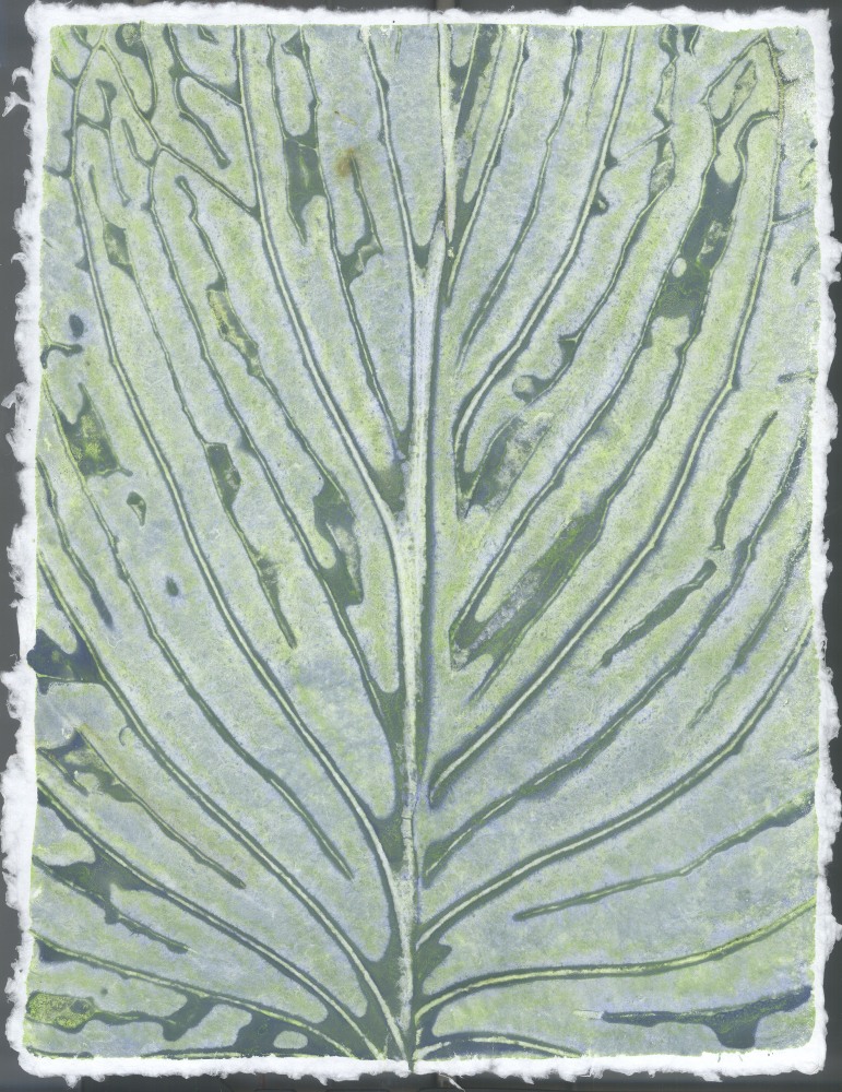 Liz Ward Specimen Days, 8, 2020 watercolor on paper 12 1/4" x 9” LW 278 Moody Gallery