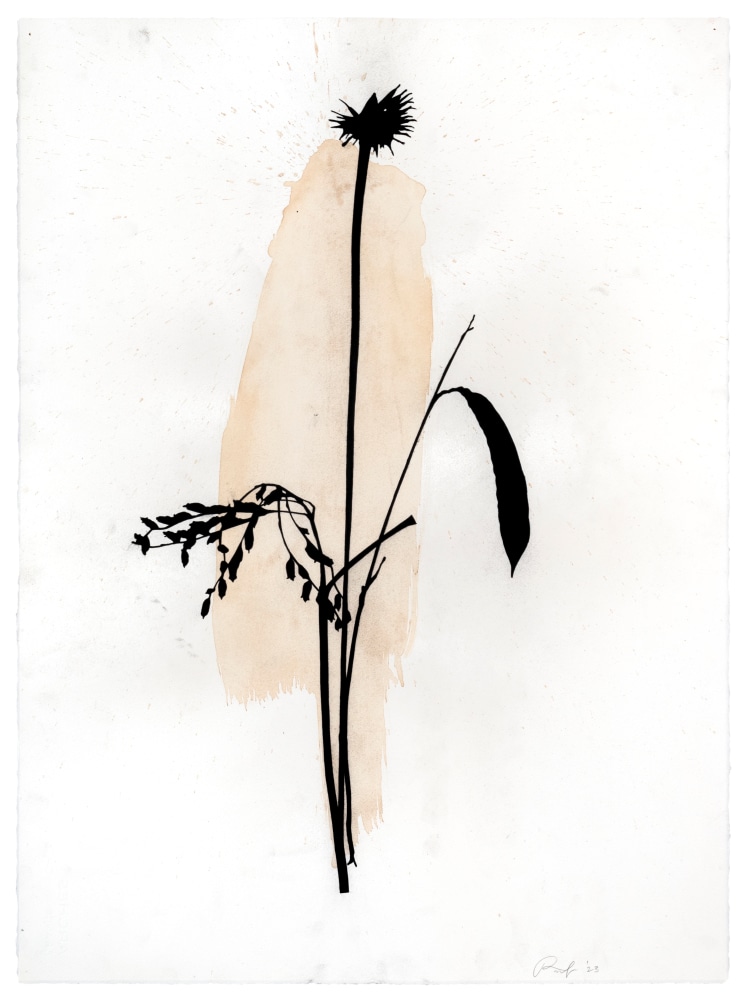Randy Twaddle Arrangement #4, 2023 charcoal and coffee on paper 30" x 22 1/4" RT 461