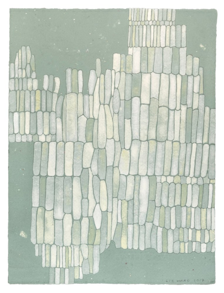 Liz Ward Ghostly Cell Assembly, 2017 watercolor on paper 13" x 9 3/4" LW 341, Moody Gallery