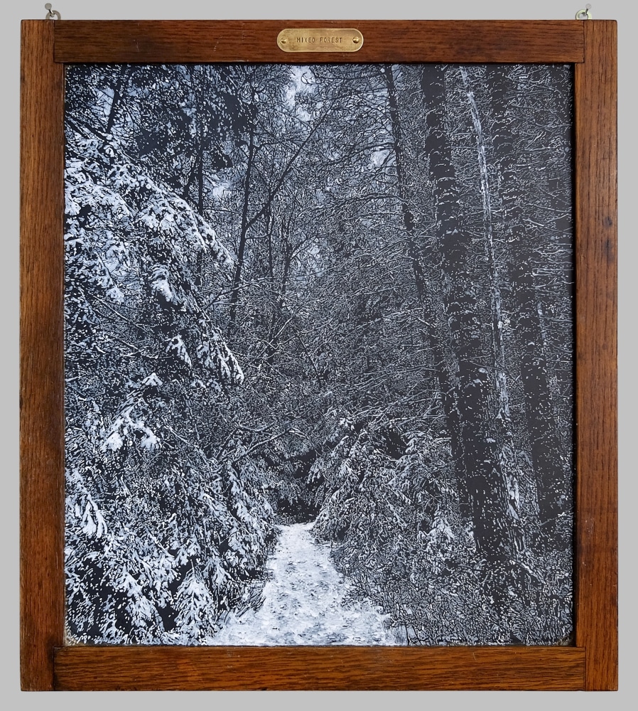 Helen Altman
Mixed Forest, 2023
acrylic on vintage slate chalkboard, brass tag
21 1/2" x 19"
HA 835