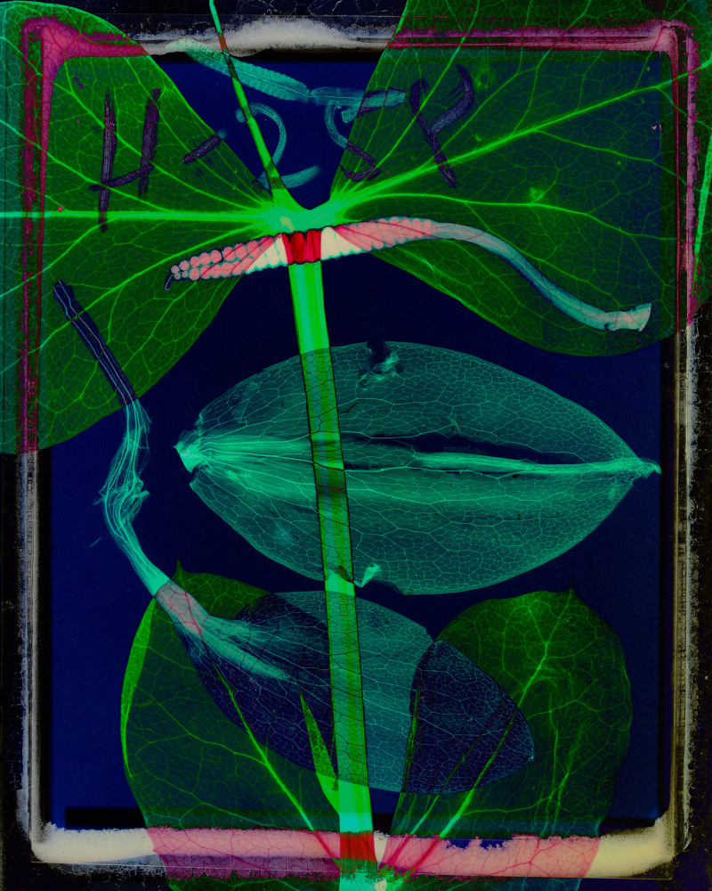 Dornith Doherty Notation, 2025 archival pigment print, ed: 5 30" x 24" DD 72