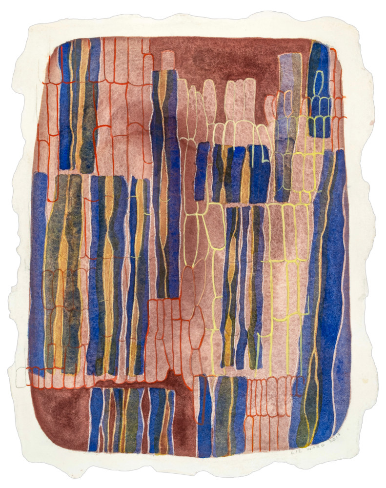 Liz Ward Fossil Forest, 2017 watercolor on paper 13" x 10" LW 342, Moody Gallery