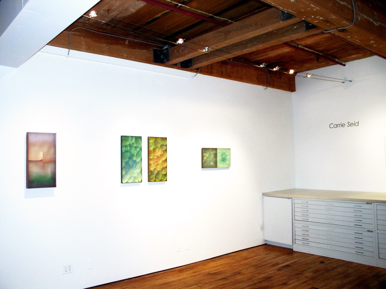 Installation of&amp;nbsp;Carrie Seid&amp;nbsp;at Goya Contemporary, Baltimore, MD.