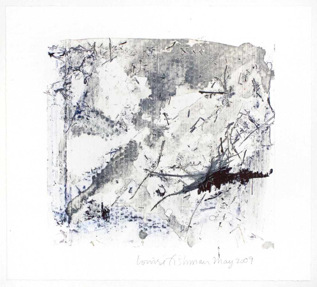 Briefs and Motions 93,&amp;nbsp;2009

Monotype

20 1/2 x 18 3/4 in. (52.1 x 47.6 cm)

Fish-1047-C