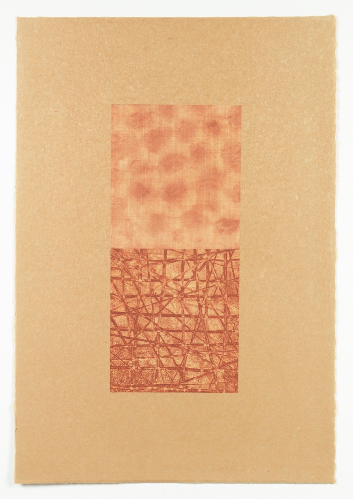 Clearing (Vertical) 155-12-P, 2012&amp;nbsp;
Monoprint on amber paper
35 1/2 x 24 1/2 in. (90.17 x 62.23 cm)
Shap-1018-C