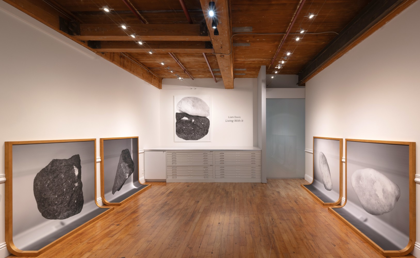 Liam Davis: Living With It at Goya Contemporary Gallery, Baltimore.