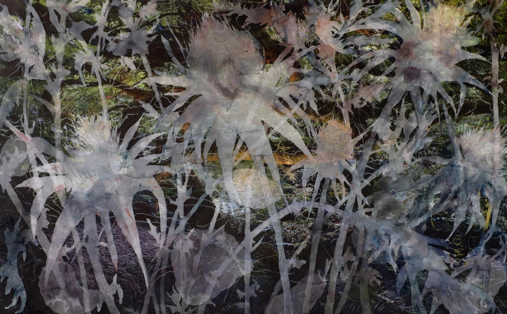 Just Weeds, 2014 - 2015
Watercolor, pencil and archival pigment print on paper
30 x 45 in. (76.2 x 114.3 cm)
Collection of Microsoft Corporation