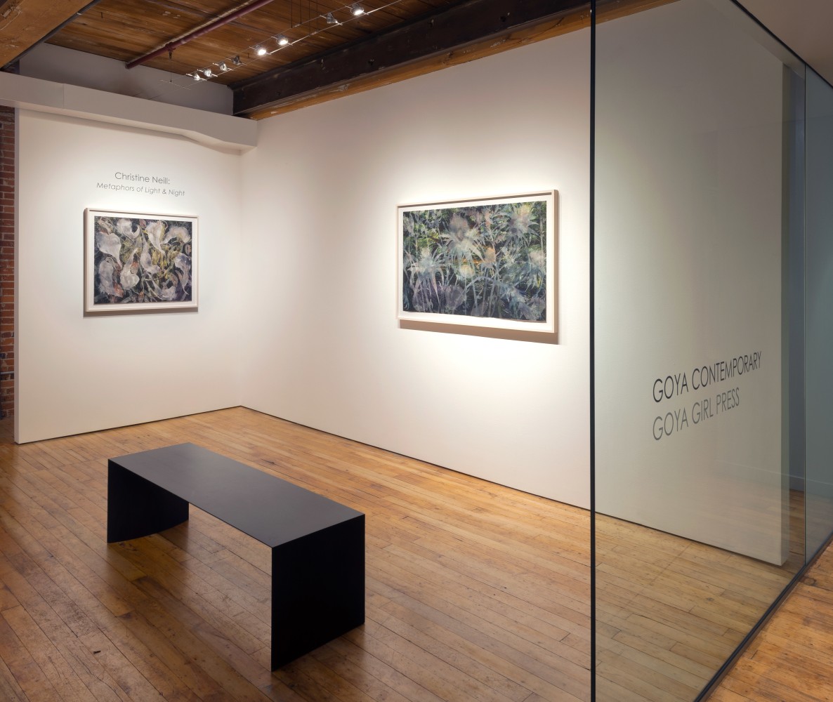 Christine Neill: Metaphors of Light and Night&amp;nbsp;at Goya Contemporary, Baltimore, MD.