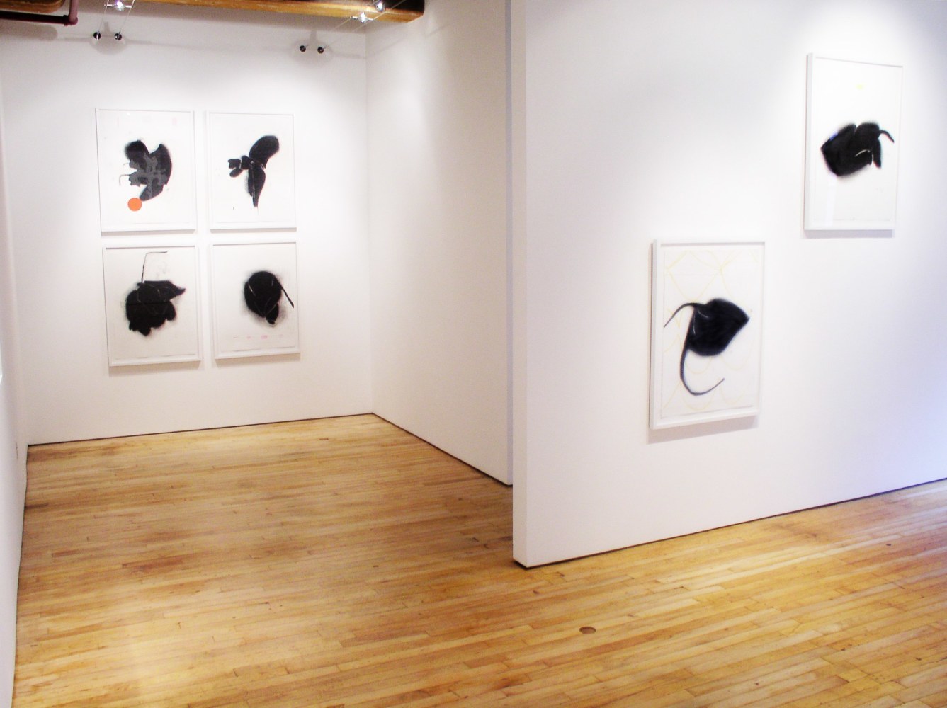 Installation of&amp;nbsp;Jo Smail:&amp;nbsp;Species of Love &amp;amp; Angels&amp;nbsp;Footsteps&amp;nbsp;at Goya Contemporary, Baltimore, MD.