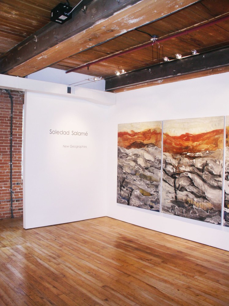 Installation of&amp;nbsp;Soledad Salam&amp;eacute;: New Geographies&amp;nbsp;at Goya Contemporay, Baltimore, MD.