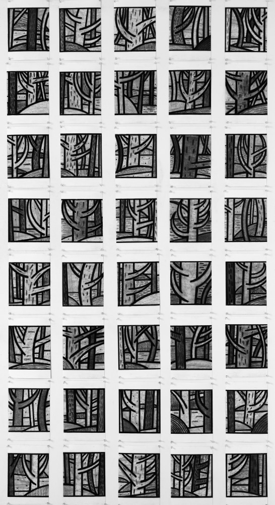 From the Ensemble Series, Landscapes,&amp;nbsp;2019-2023
Unique set of 40 vine charcoal works on paper
Each approx. 9.5 x 7.5 inches (24.1 x 19.1 cm)
Weis-1046-C