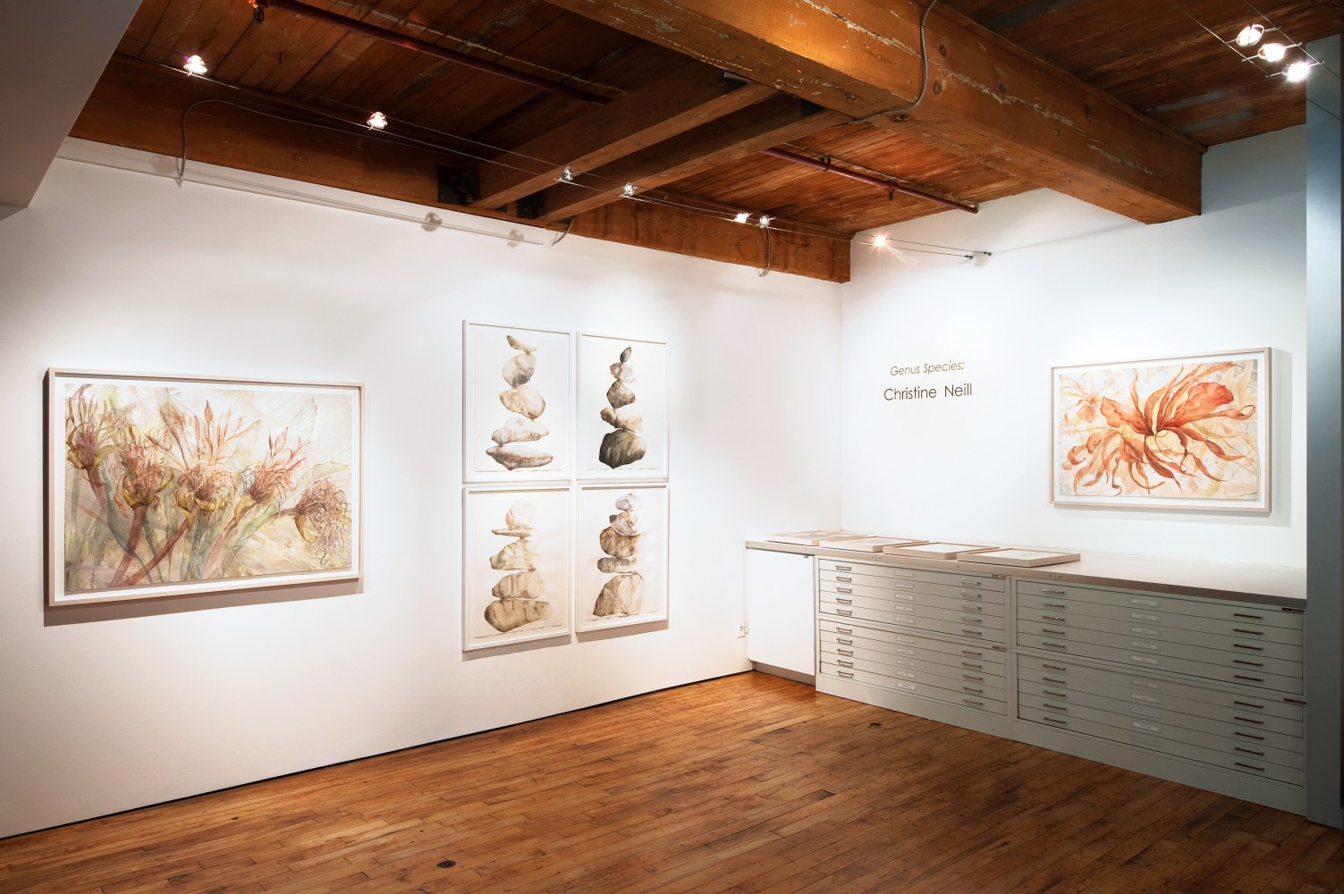 Installation of&amp;nbsp;Christine Neill: Genus Species&amp;nbsp;at Goya Contemporary, Baltimore, MD.