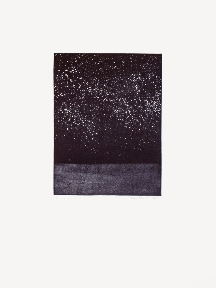 Stars,&amp;nbsp;2000

Monotype

30 x 22 1/4 in. (76.2 x 56.5 cm)

Published by Goya Contemporary / Goya Girl Press

STR-0048-CO