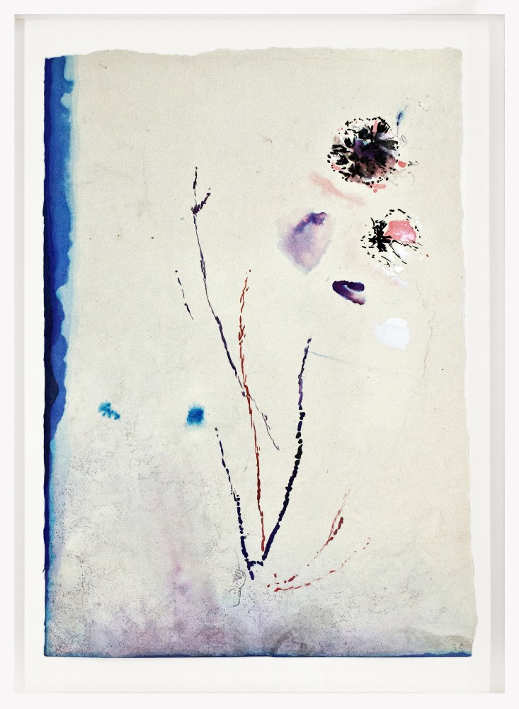 Flowers, 2015&amp;nbsp;
Unique monoprint and watercolor
Paper: 19 1/2 x 13 1/2 in. (49.5 x 34.3 cm)
Frame: 22 1/2 x 16 1/2 in. (57.1 x 41.9 cm)
Egbe-1041-C