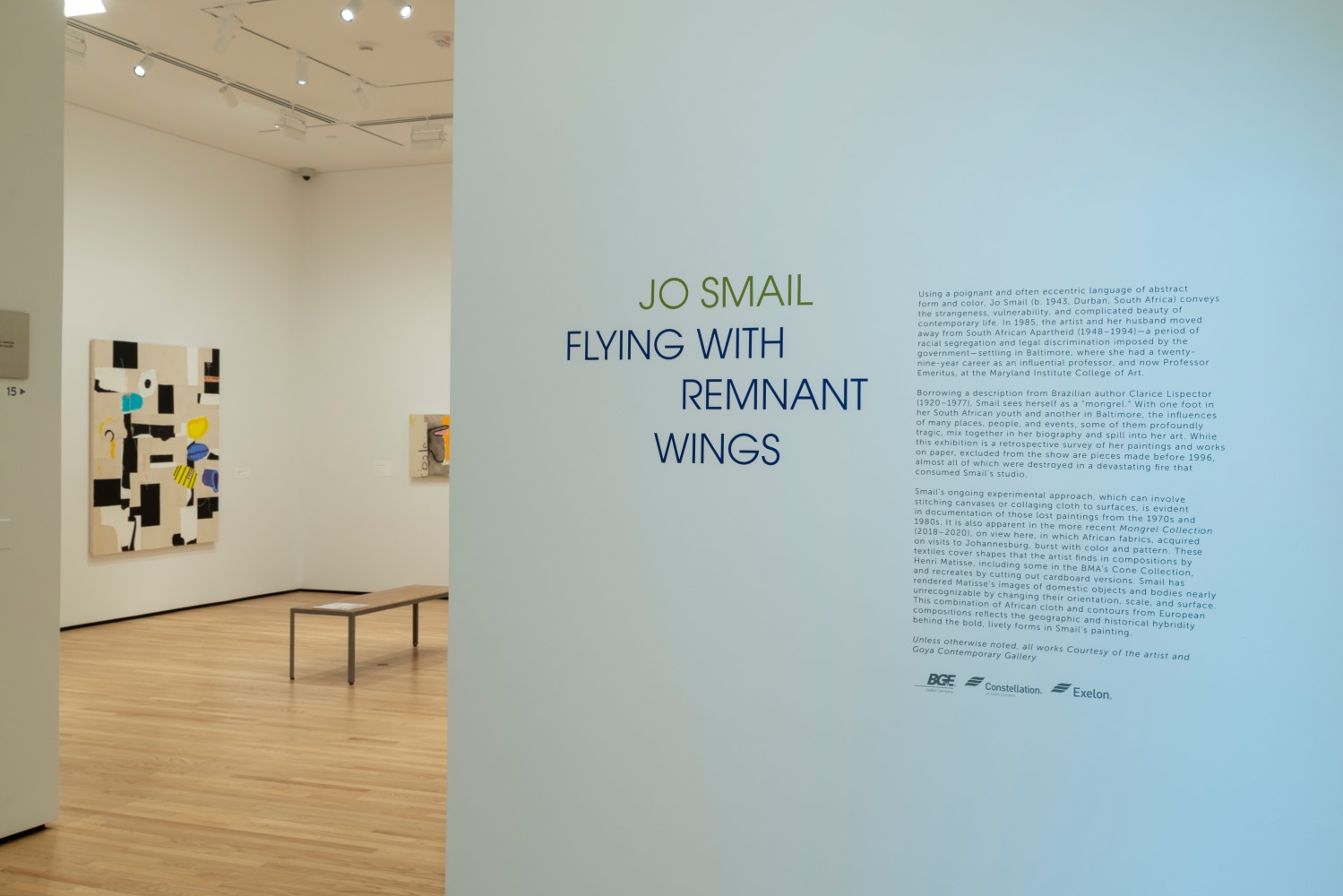 Installation of&amp;nbsp;Jo Smail:&amp;nbsp;Flying with Remnant Wings&amp;nbsp;at The Baltimore Museum of Art, Baltimore MD.&amp;nbsp;
Photography&amp;nbsp;by Mitro Hood