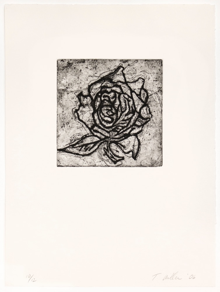 White, 2006&amp;nbsp;
Etching
15 x 11 1/4 in. (38.1 x 28.6 cm)
Edition&amp;nbsp;of 12
Miller-1012-C