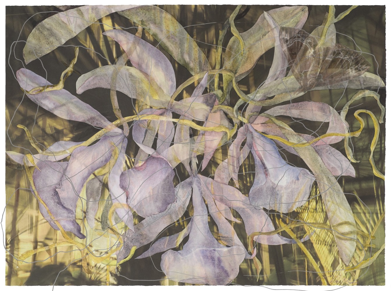 Ames&amp;#39; Orchid, 2012
Watercolor, acrylic and&amp;nbsp;archival ink jet print on paper
21 1/2 x 29 in. (54.6 x 73.7 cm)
Neil-1005-C