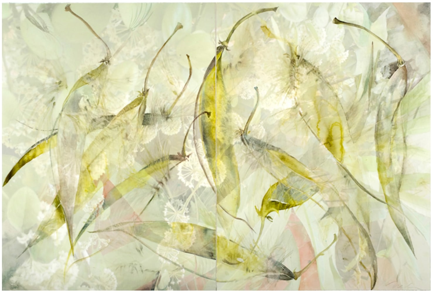 Stephanotis Split, 2011
Watercolor and archival ink jet on paper
29 x 43 1/2 in. (73.7 x 110.5 cm)
NEI-0090-C