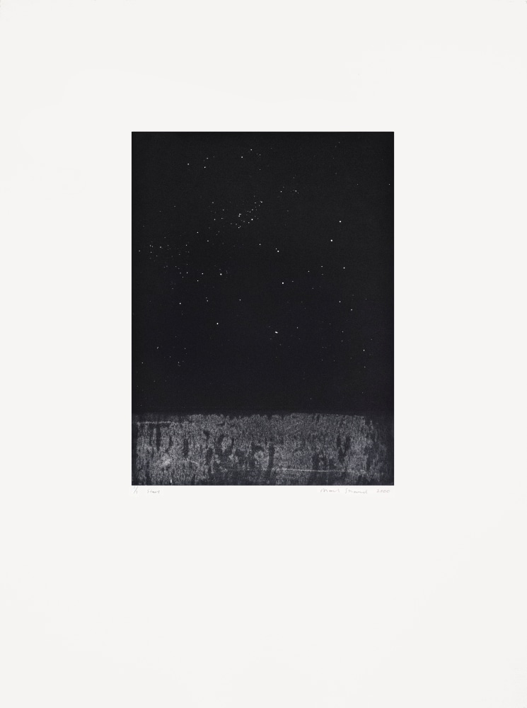 Stars,&amp;nbsp;2000

Monotype

30 x 22 1/4 in. (76.2 x 56.5 cm)

Published by Goya Contemporary / Goya-Girl Press

STR-0049-CO