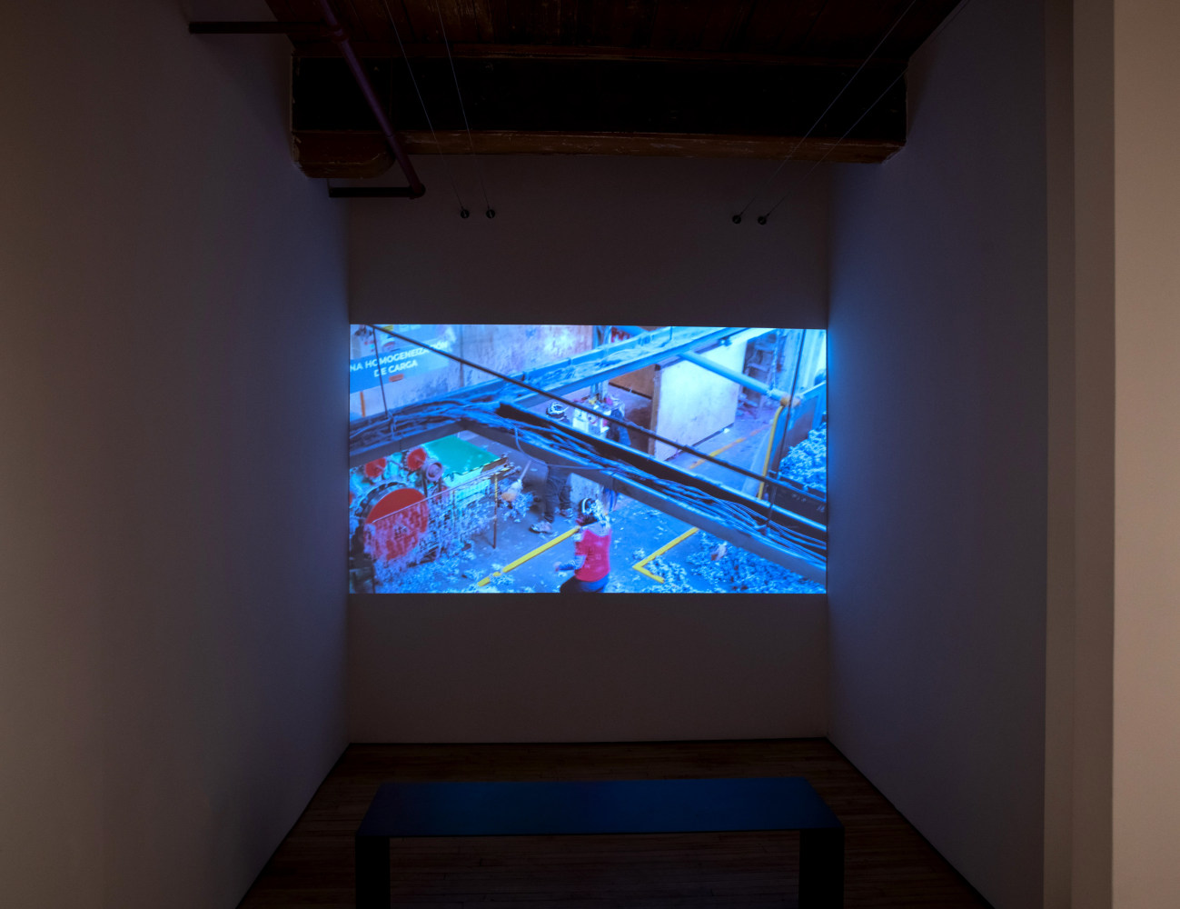 Soledad Salamé: Camouflage at Goya Contemporary Gallery, Baltimore. Photo: Mitro Hood.