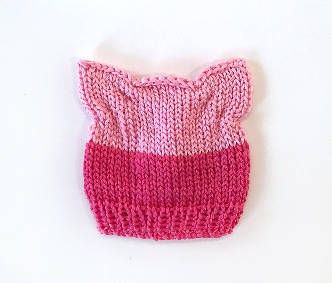 Small pink knit hat included with&amp;nbsp;Women&amp;#39;s March Portfolio