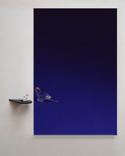 Situation with Glass Bird, 2005&amp;nbsp;
Duraflex installed with shelf &amp;amp; figurine (plastic)
18 x 19 x 3 1/2 in. (45.72 x 48.26 x 8.89 cm)
Edition of 5
POR-0407-C-OS