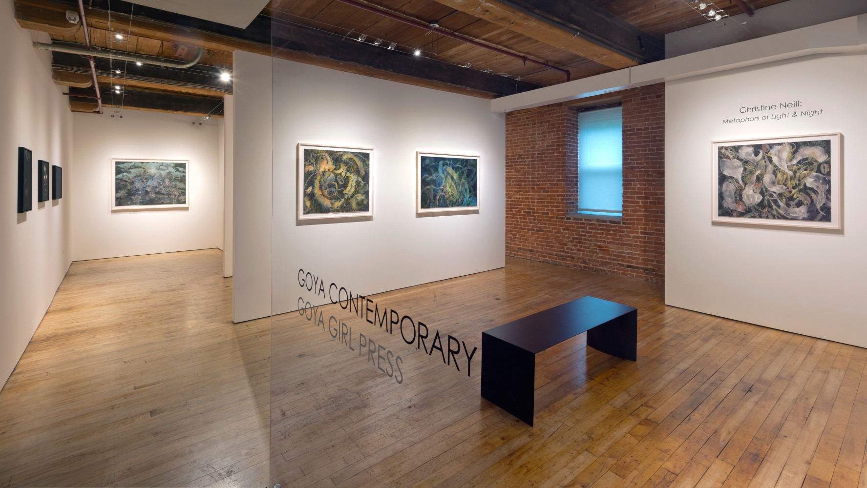 Christine Neill: Metaphors of Light and Night&amp;nbsp;at Goya Contemporary, Baltimore, MD.