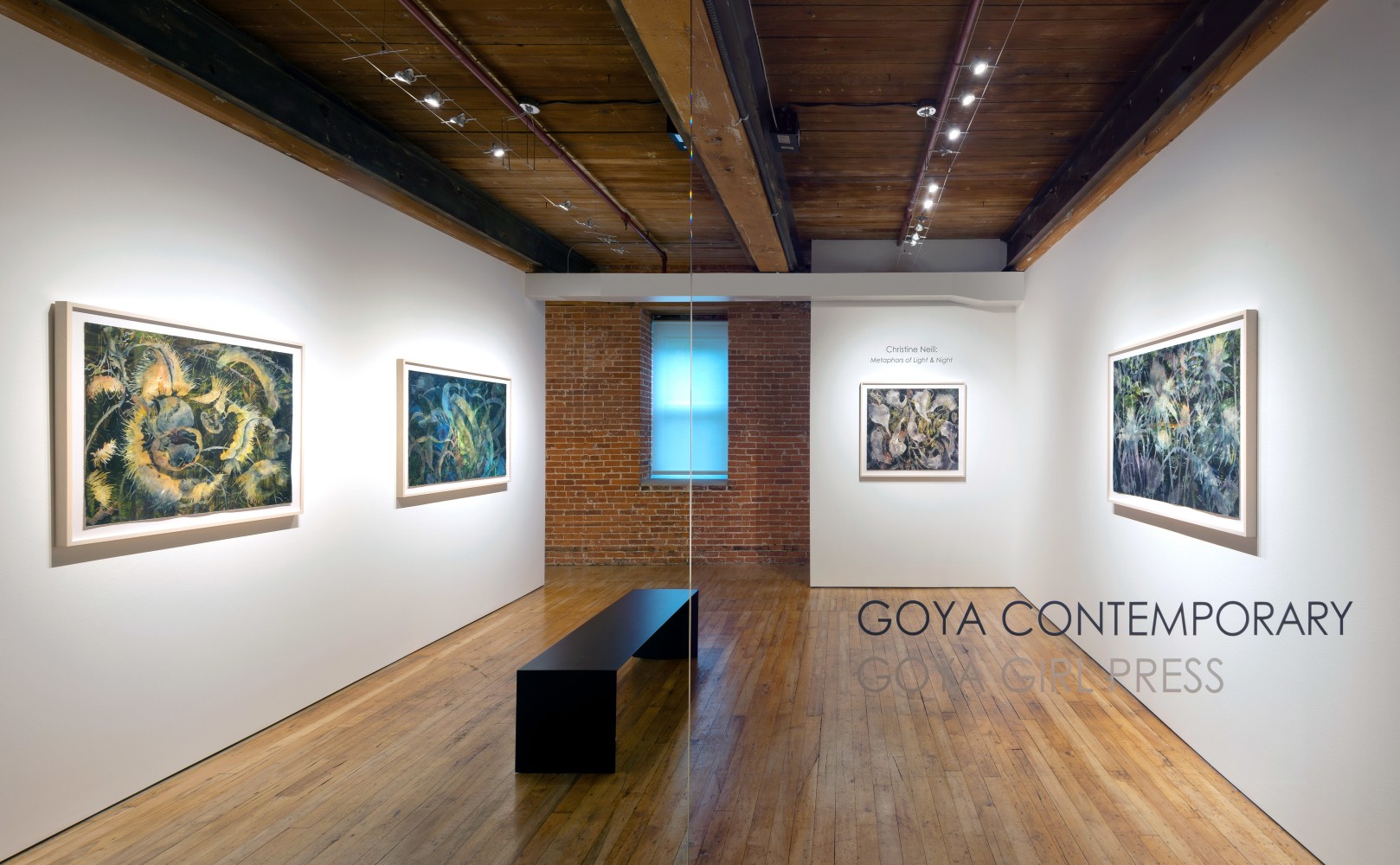 Christine Neill: Metaphors of Light and Night&amp;nbsp;at Goya Contemporary, Baltimore, MD.