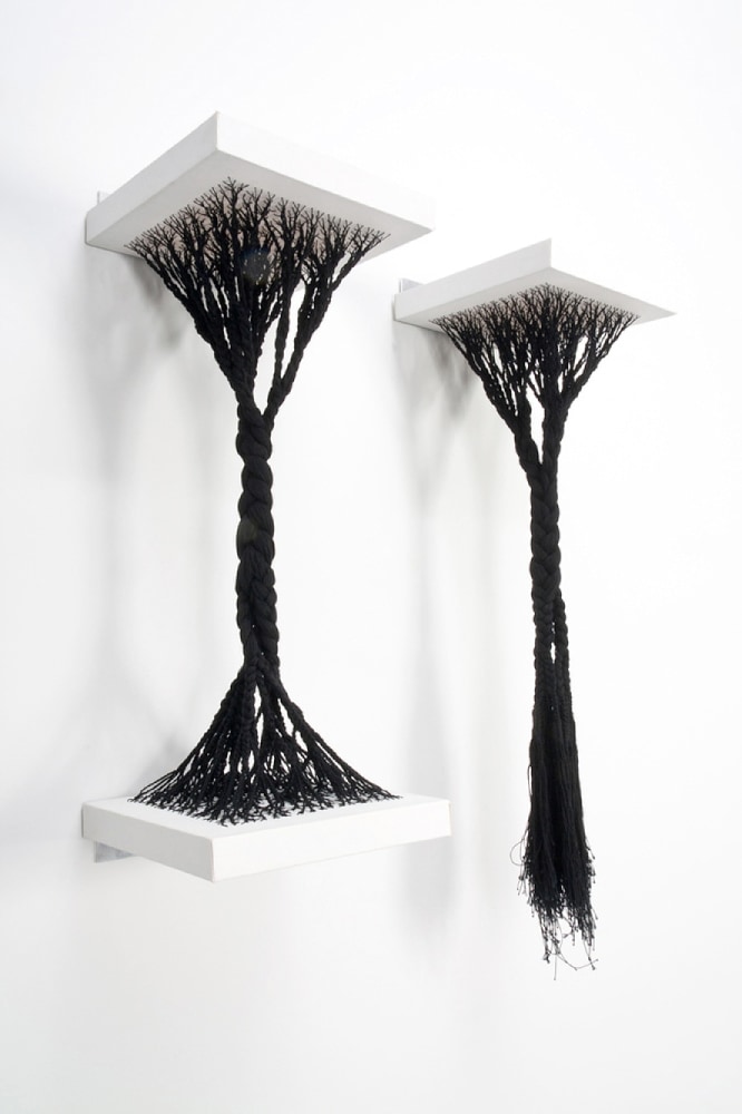 Rooted and Uprooted, 2011
Canvas and thread
30 x 12 x 12 in.&amp;nbsp;(76.2 x 30.48 cm) each
Total size variable per distance apart
Clar-1036-C